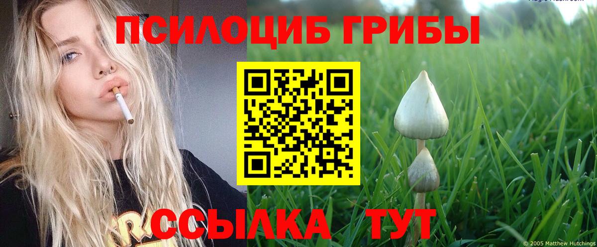Галлюциногенные грибы ЛСД  Галлюциногенные грибы прущие грибы  Железноводск  Вход с VPN 